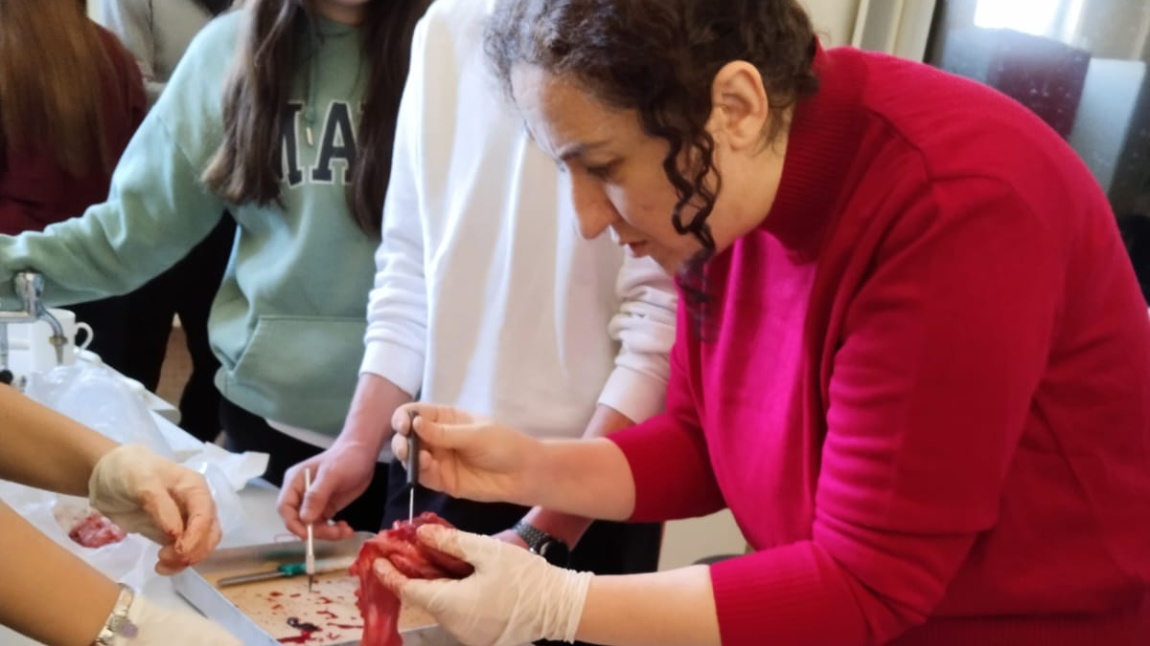 Biyoloji Dersinde Kalp Organını İnceliyoruz